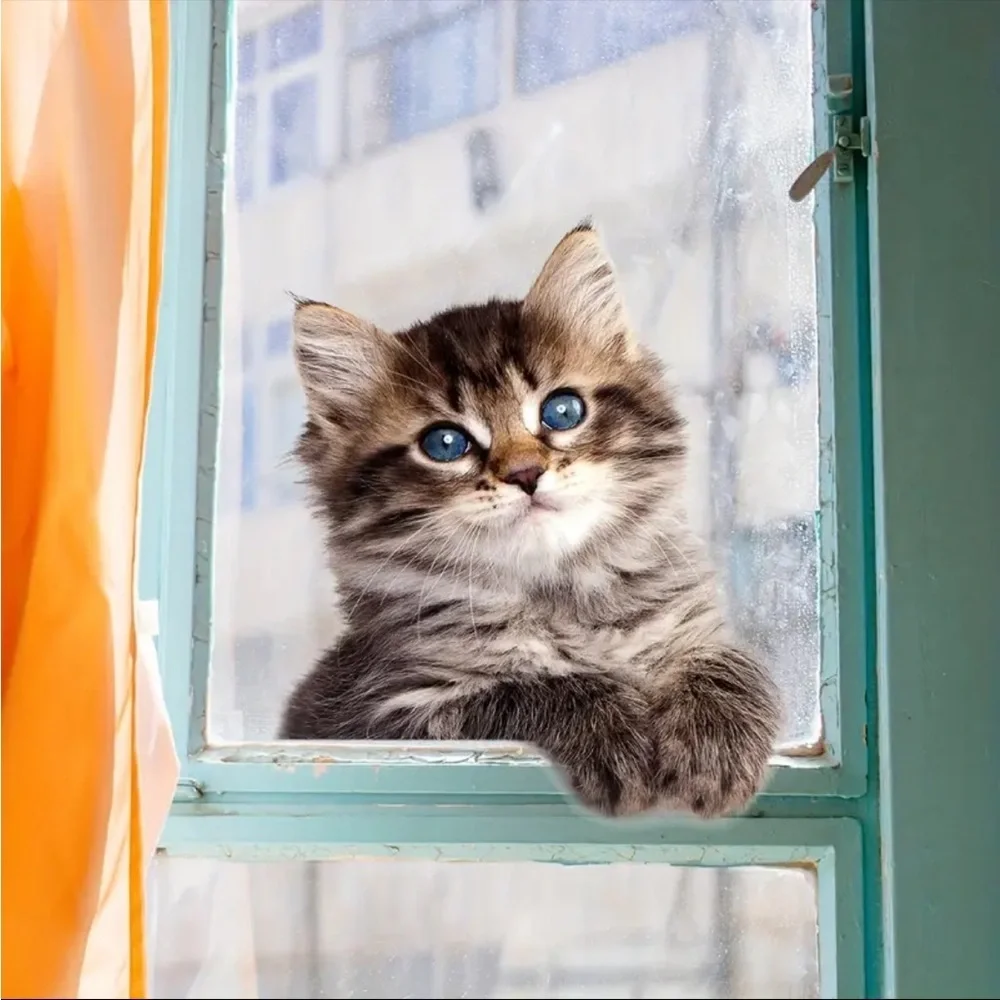 Cute Kitten Cat Window Decal Adorable Peekaboo Kitty Wall Sticker Home Decor